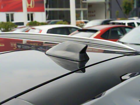 2024�� ���������Ǽݰ�