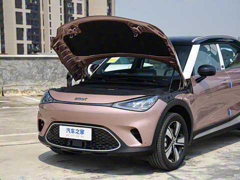 2026�� �鶯������