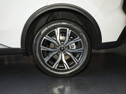 2025�� EcoBoost 170 ������