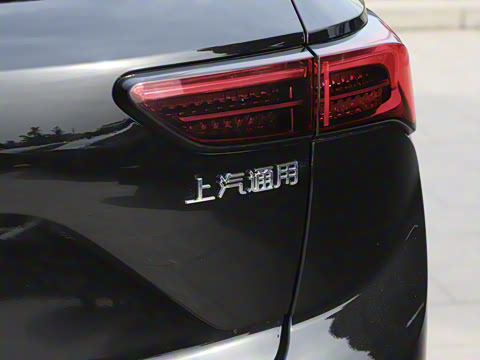 2025�� 25T �׽��