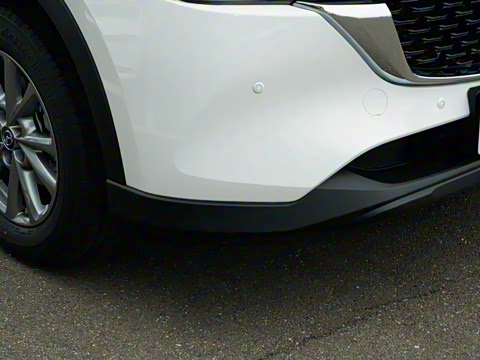 2025�� 2.0L �Զ�����������