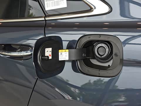 2019�� EcoBoost 245 ������