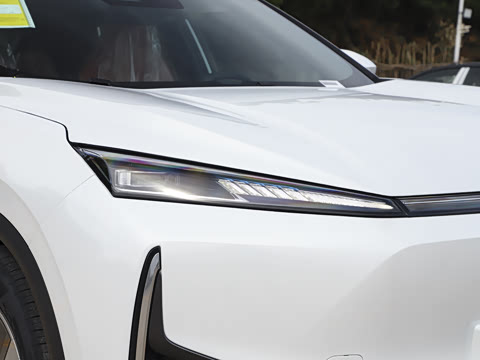 2025�� 205��������������