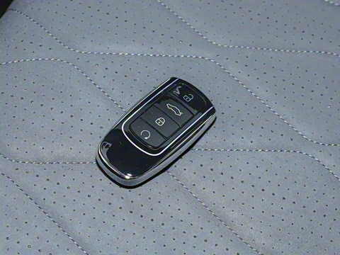 2025�� 290TGDI DCT�˷�� 