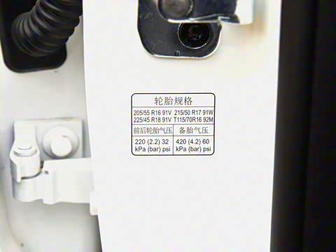 2019�� 20T �Զ�Trophy���Ǿ�����