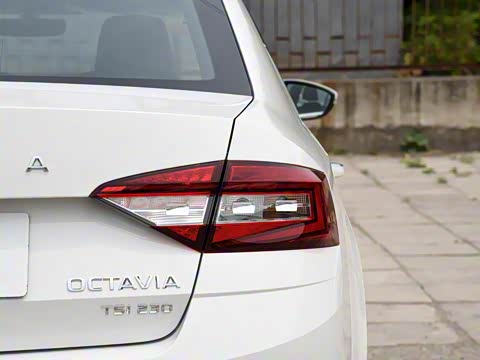 2019�� TSI230 DSG���к����� ��VI