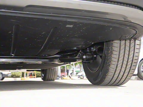 2025�� 445km ���ð�