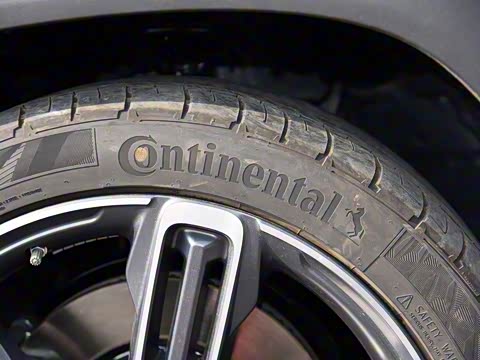 2020�� 300T ����������