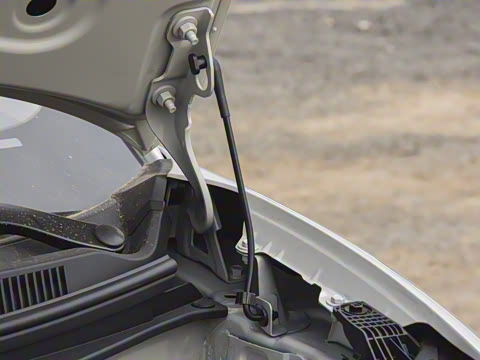 2025�� 333km ������