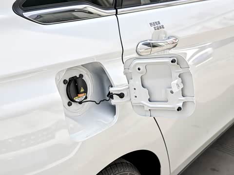 2019�� ������������