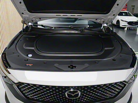 2025�� ����200�����˶���