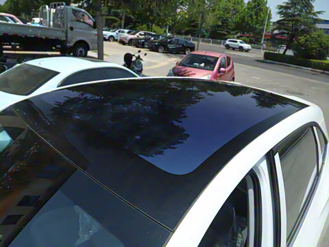 2025�� 445km ��ѡ��