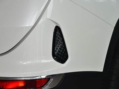 2019�� 1.5T DCT������ 6�� ��VI