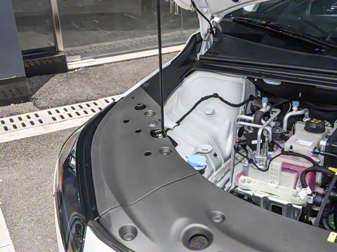 2026�� ������