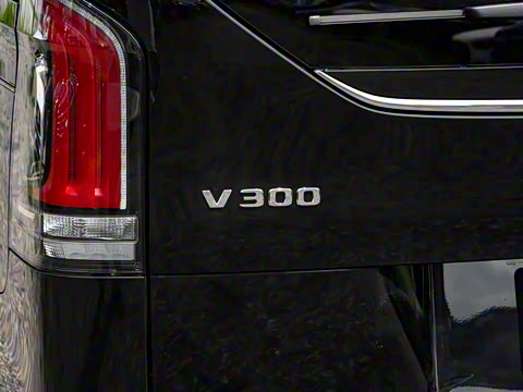 2025�� V 300 �캽��