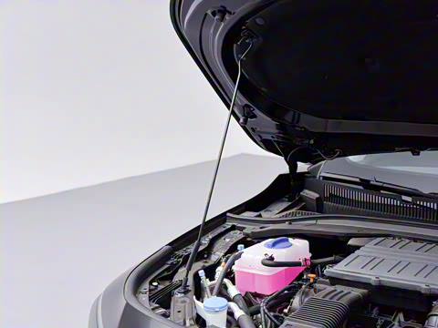 2025�� 145km ������