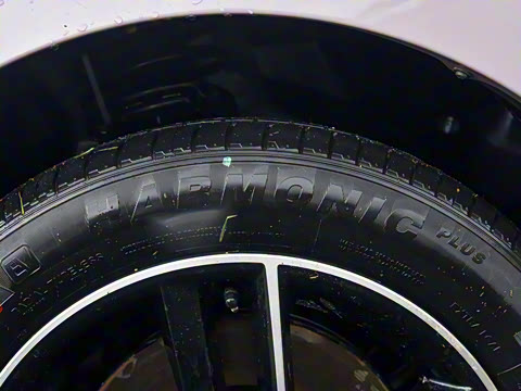 2025�� 650 ������