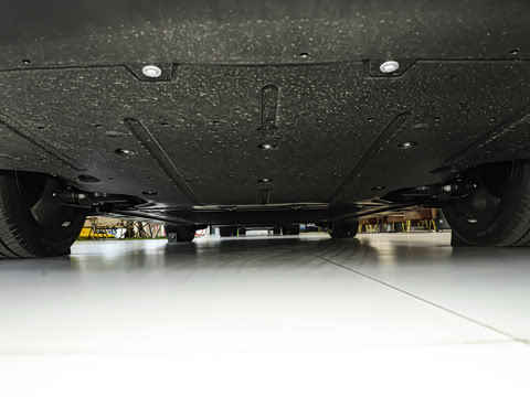 2025�� 502 ������ Max