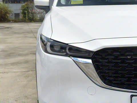 2025�� 2.0L �Զ�����������