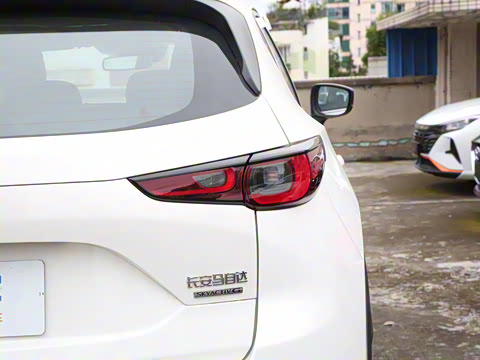 2024�� 2.0L �Զ���������Pro