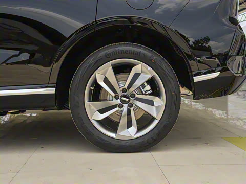 2023�� ������������