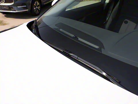 2022�� ����L P300e ���ʽ�綯��ϰ�