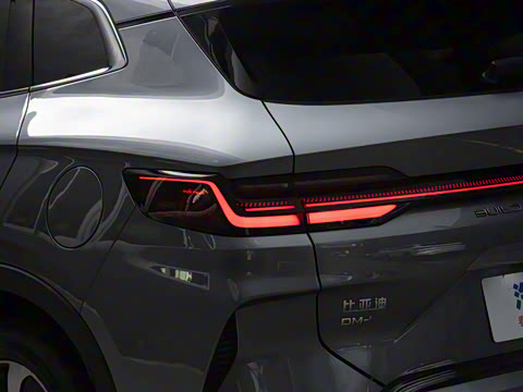 2023�� �ھ��� DM-i 110KM �콢PLUS