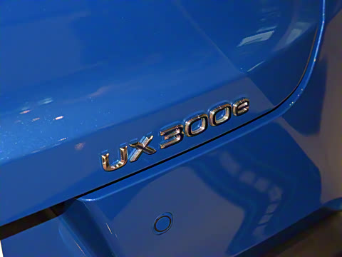 2020�� 300e ��������