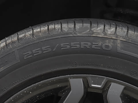 2025�� 120km ���ּӳ��� 7��