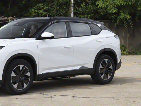 2025�� 205��������������