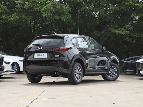 2024�� 2.0L �Զ�����������