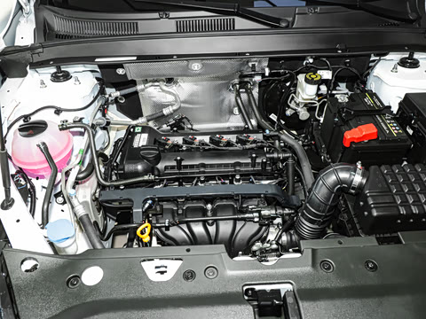 2025�� 1.5L �ֶ����ʰ�