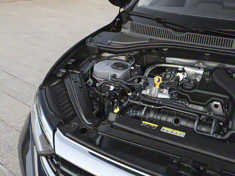 2025�� �Ŀ��� 300TSI DSG��Խ��