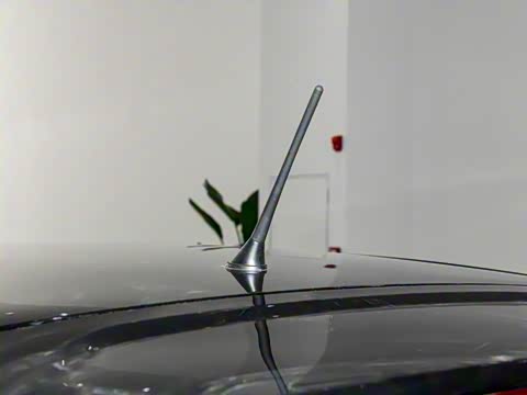 2025�� 205km ʥ����