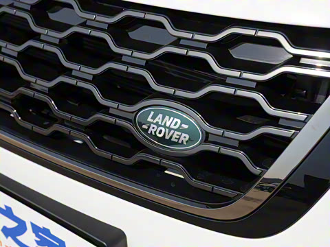 2022�� ����L P300e ���ʽ�綯��ϰ�