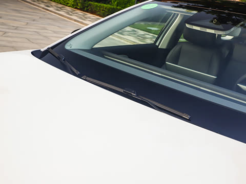 2025�� 650������