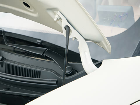 2025�� 333km ������