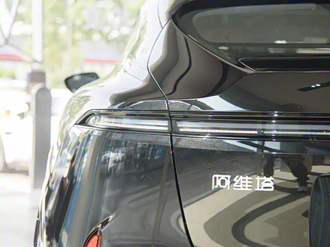 2025�� �Ŀ� Max ���̰�