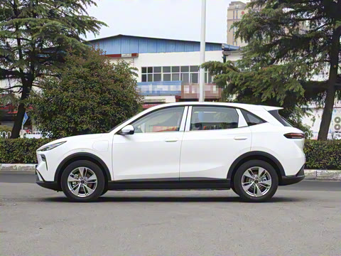 2025�� 565km ������