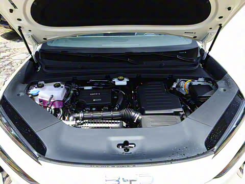 2025�� DM-i 170�캽Pro��