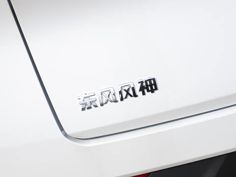 2025�� 205��������������