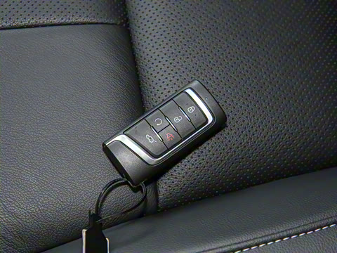 2020�� 390T �������棨������