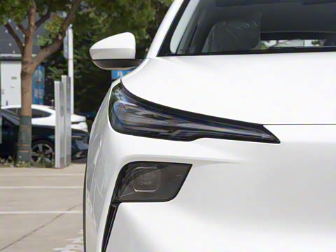 2025�� 445km ���ð�