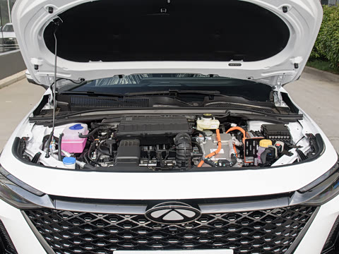 2025�� 70km ��׼��