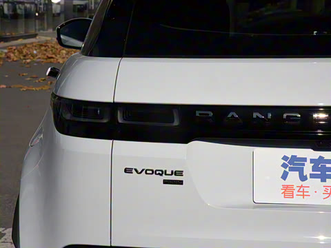 2021�� ����L P300e ������