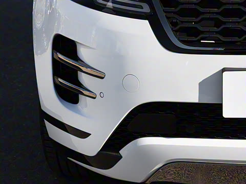 2021�� ����L P300e ������