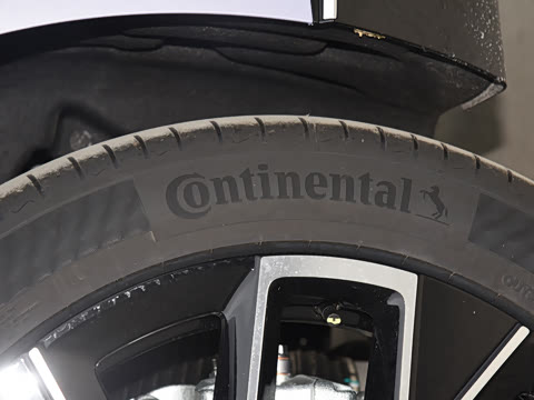 2025�� Max�����