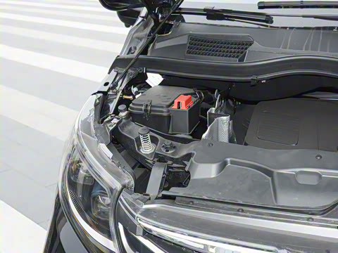 2025�� ����ʿ LW63