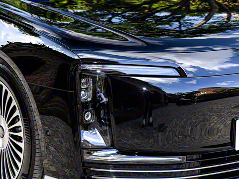 2025�� ���� �ǻ������� 5��