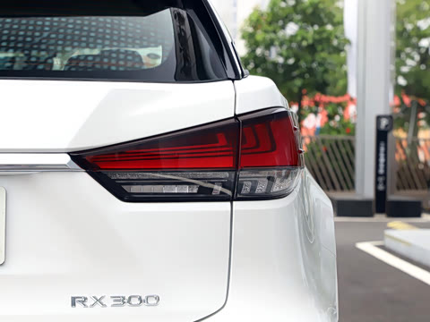 2020�� �Ŀ� 300 ������Ӣ��